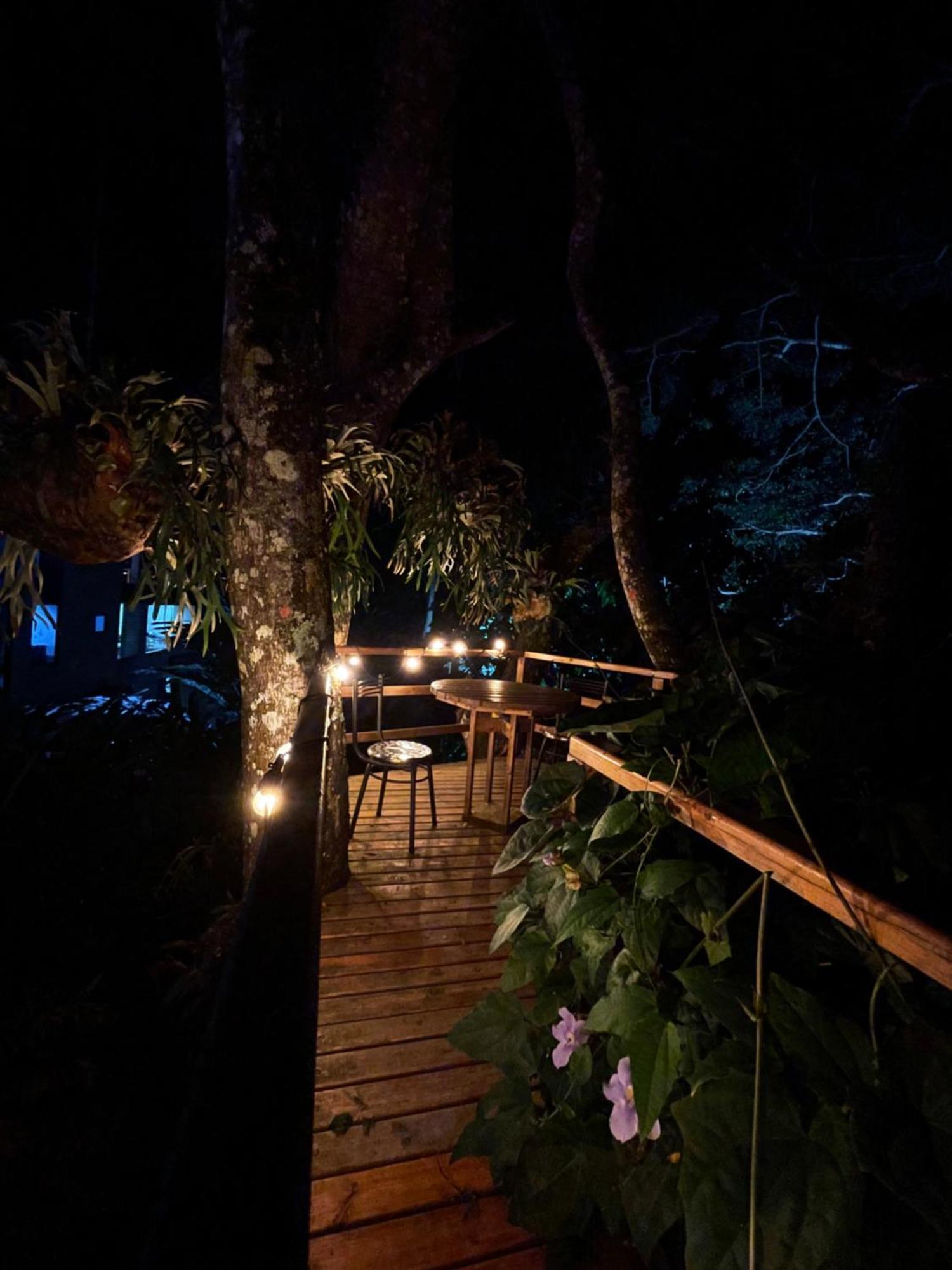 Home Boutique Natural Paradise La Vega  Exteriér fotografie