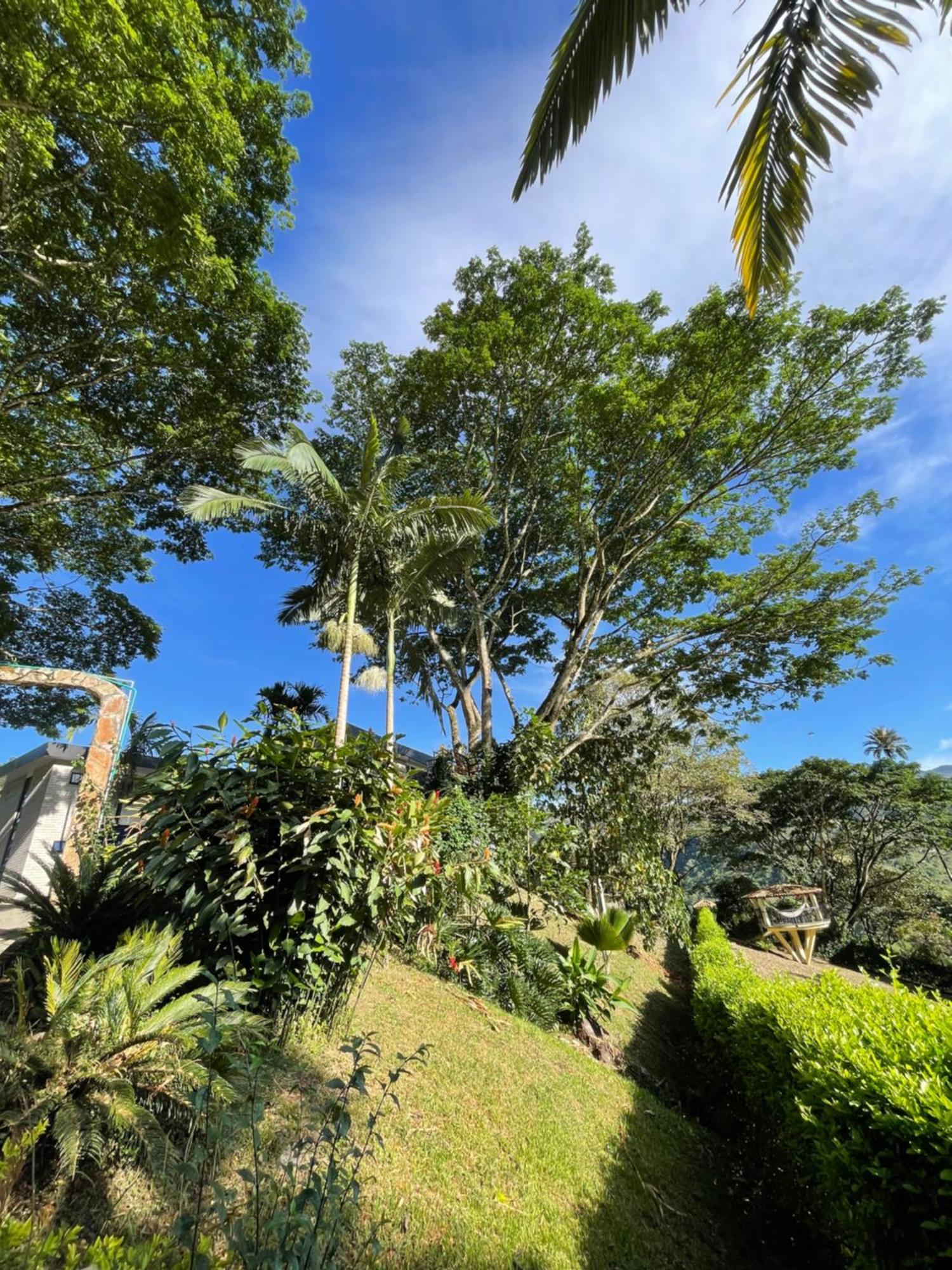 Home Boutique Natural Paradise La Vega  Exteriér fotografie