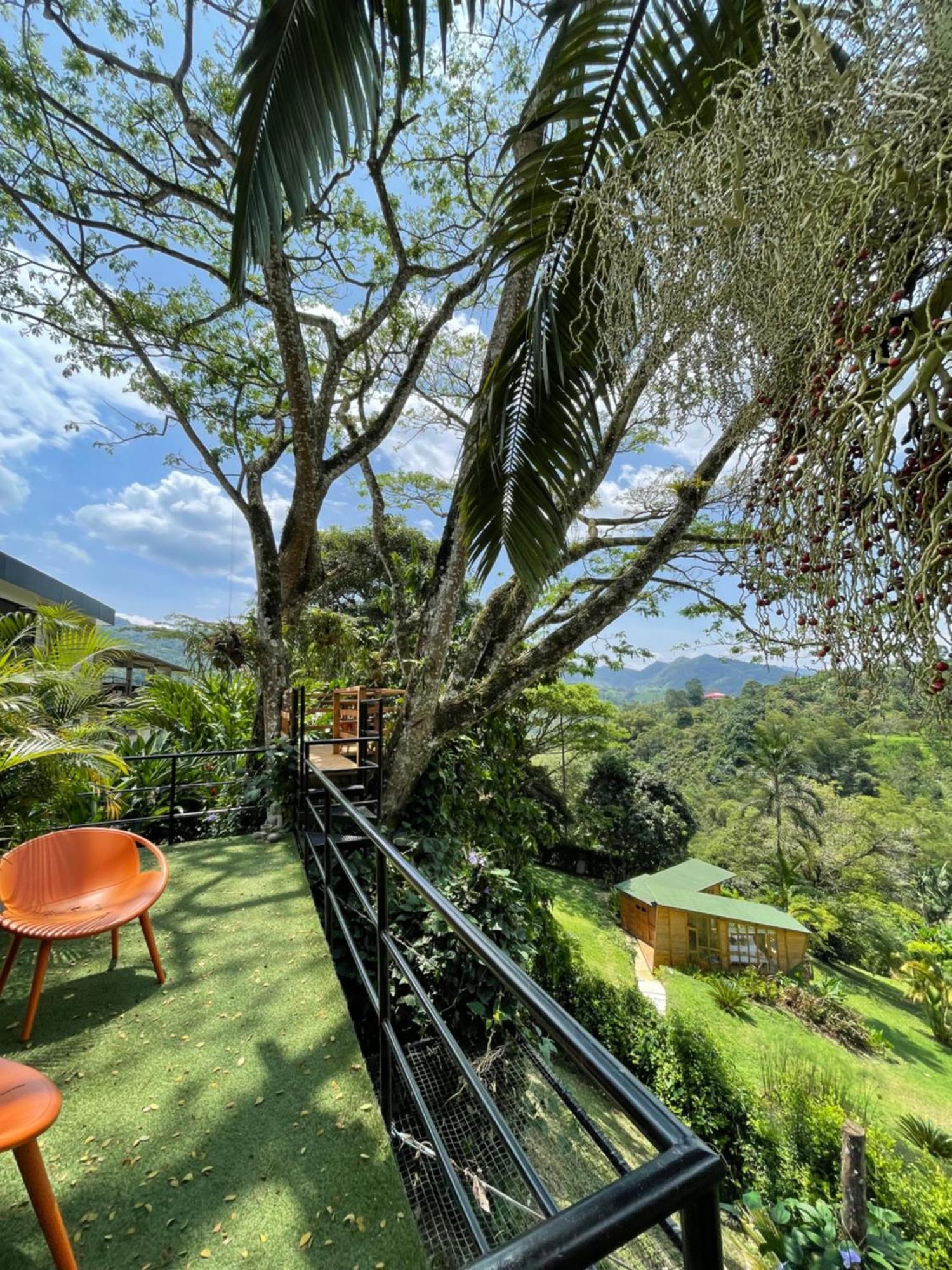 Home Boutique Natural Paradise La Vega  Exteriér fotografie